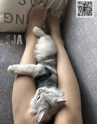 米尼的第一次_720全集免费播放
